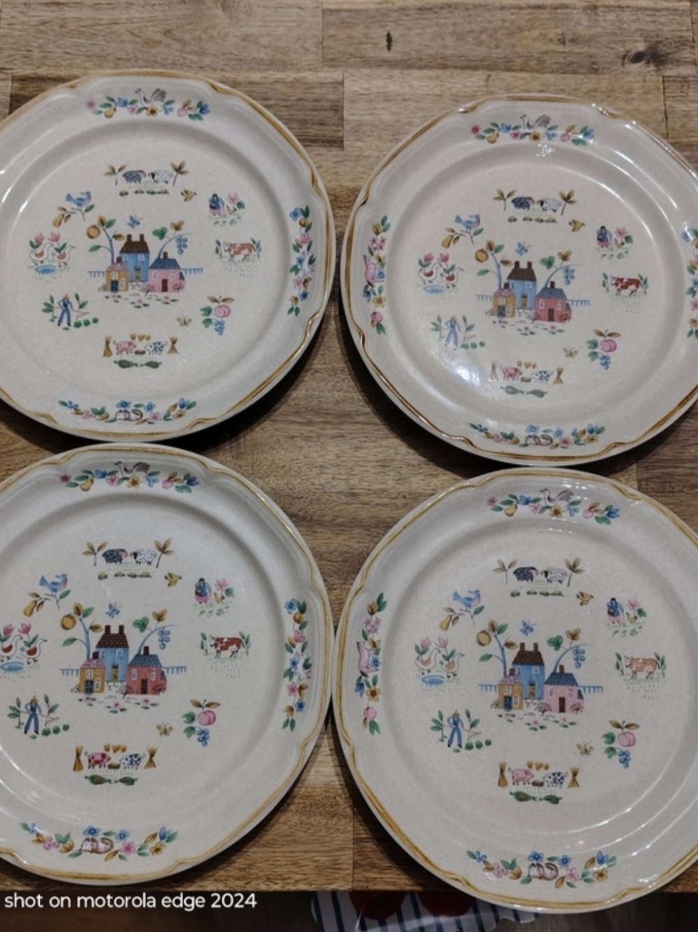 Vintage-Inspired Cream Floral Village Dinner Plate - Set of 4